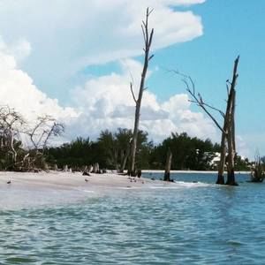 Meet your Posher, Steve